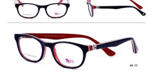 DM XS 9748 c2 Success