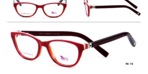 DL XS 9747 c3 Success