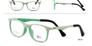 CH XS 9701 c3 Success