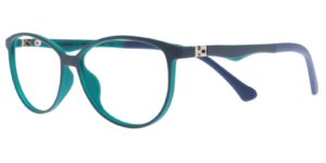 BJ XS 6616 c4 Success