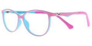 BJ XS 6616 c5 Success