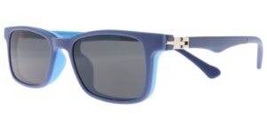 DT XS 6618 c3 Success