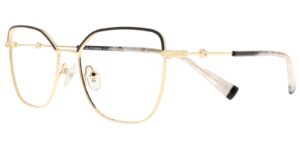 HI CYS 5856 c1 Success