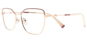 HI CYS 5856 c2 Success