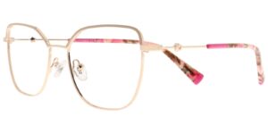 HI CYS 5856 c3 Success