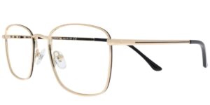 IE BIS 5858 c1 Success