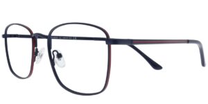 IE BIS 5858 c2 Success