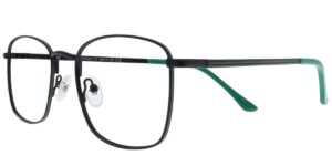 IE BIS 5858 c3 Success