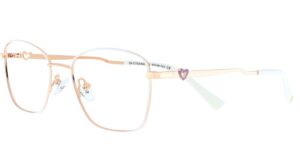 IGC XS 5860 c3 Success