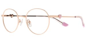 IL CYS 5898 c1 Success