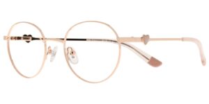 IL CYS 5898 c3 Success