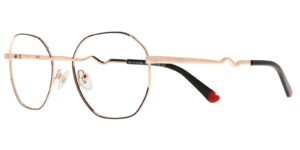 IN CYS 5588 c1  Success