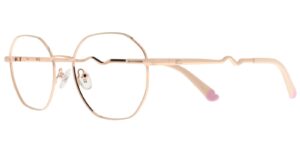 IN CYS 5588 c2  Success