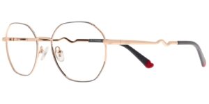 IN CYS 5588 c3  Success