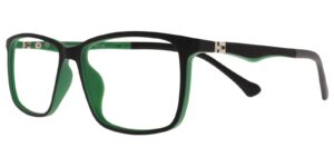 GK XS 6685 c4 Success