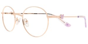 HJ CYS 6660 c1 Success