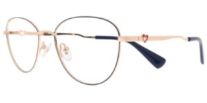 HK CYS 6661 c2 Success