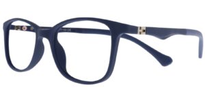 DH XS 6667 c2 Success