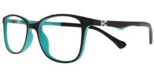 DH XS 6667 c6 Success