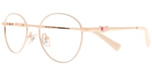 HR CYS 6624 c2 Success