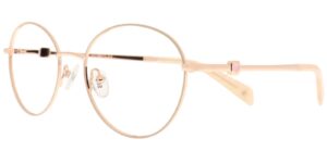 HS CYS 6625 c2 Success