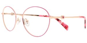 HS CYS 6625 c3 Success