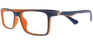 BH XS 6666 c3 Success