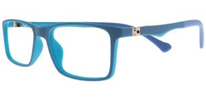 BH XS 6666 c4 Success