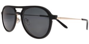 HFA BIS 6663 c2 Success