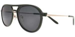 HFA BIS 6663 c6 Success