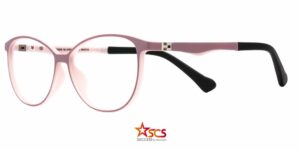 BJ XS 3109 c3 Success