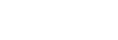 success-logo-white